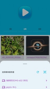 海豚星空投屏TV极速版