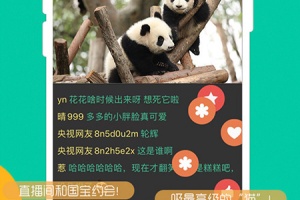 熊猫频道app