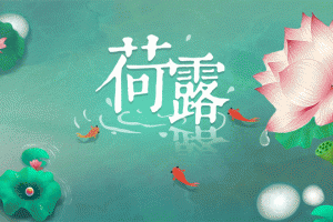 荷露官方正版
