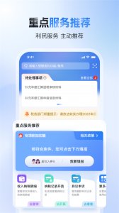国家税务总局app官方版