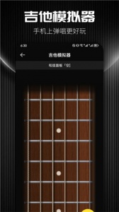 TunerLite调音器app