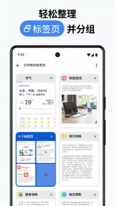 谷歌浏览器(Google Chrome)