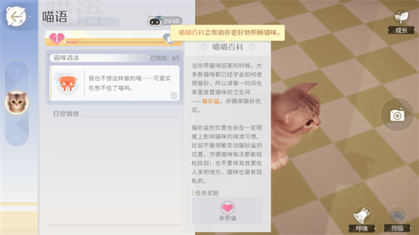 我和我的猫中文版