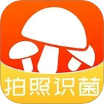 菌窝子app