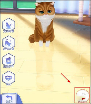 梦间集天鹅座华为版