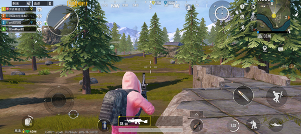 pubg手游国际服