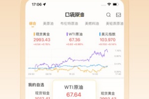 口袋原油app