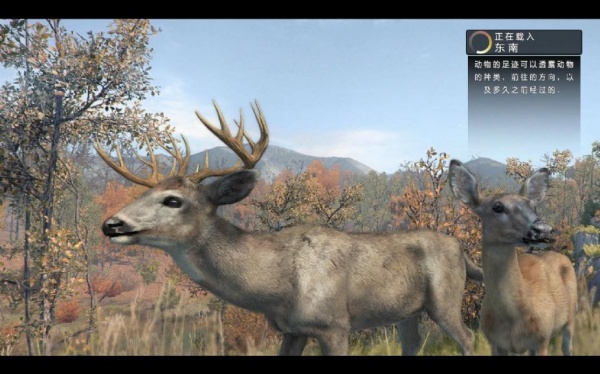 坎贝拉猎人：职业狩猎