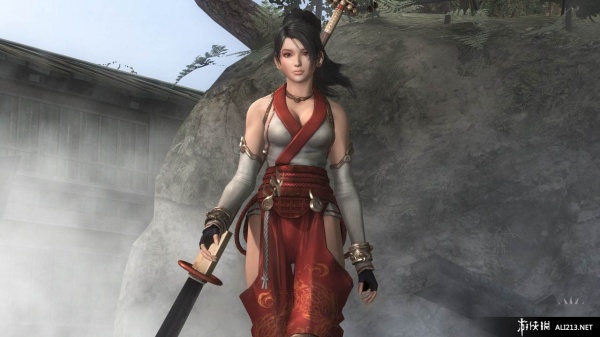 忍者龙剑传：西格玛2