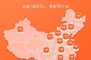 白菜二手车直卖网app