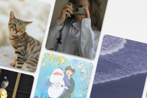 堆糖app