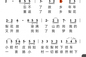 动态简谱手机版