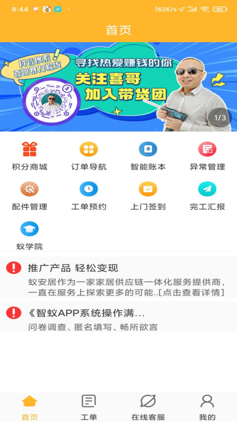 智蚁