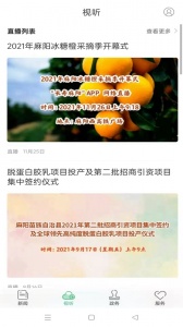 长寿麻阳手机版