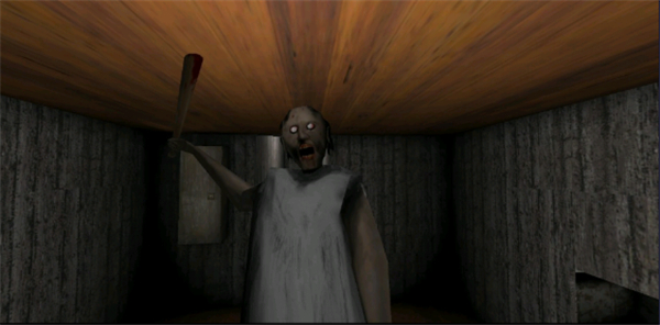 恐怖奶奶联机版