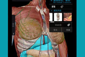 2025+人体解剖学图谱app官方最新版