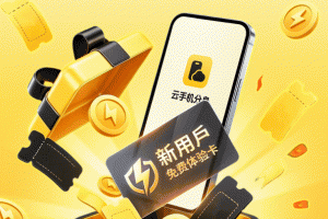云手机分身app