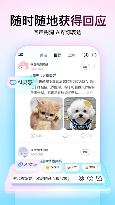soul高级版