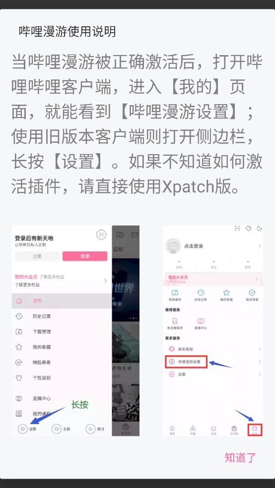 哔哩哔哩漫游