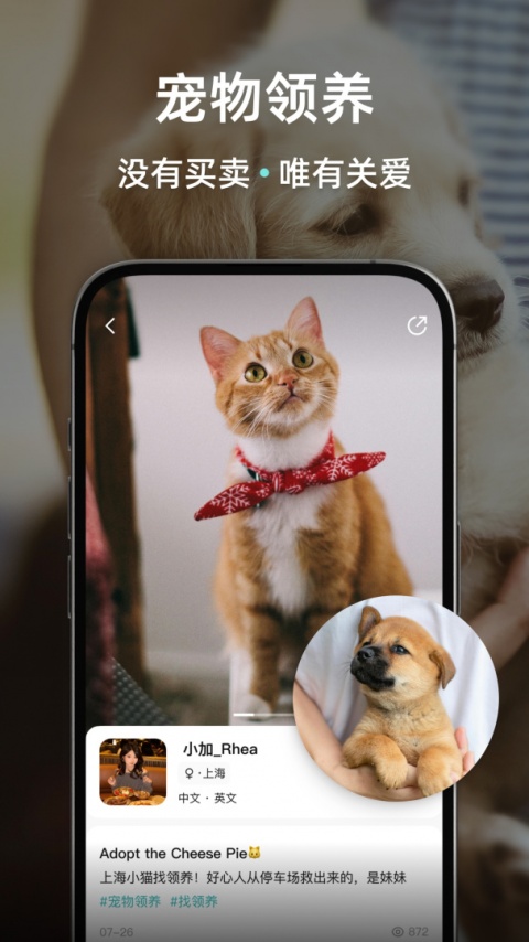 Wellcee租房app