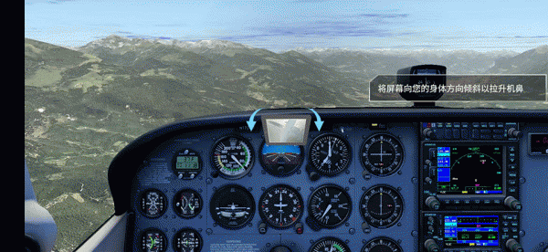 专业模拟飞行10手机版