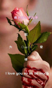 纹字锁屏最新版