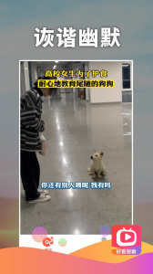 好看短剧高清版