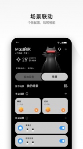 realme link官方版app