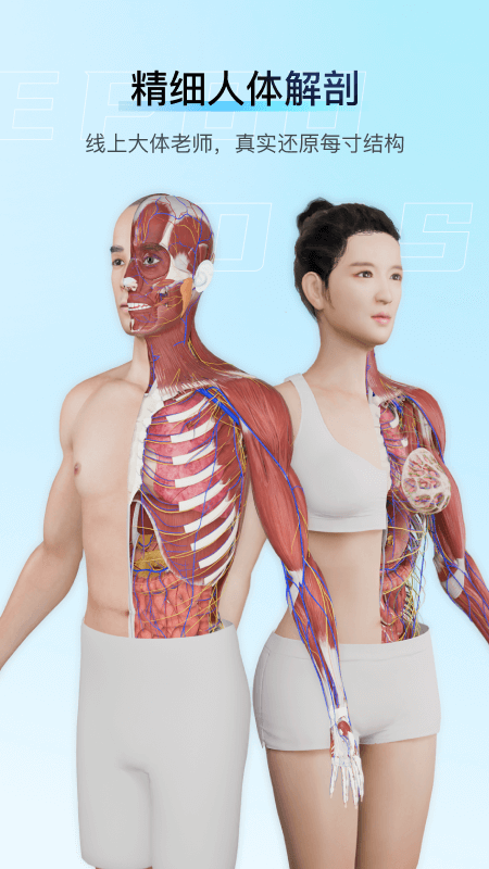 解剖大师手机版