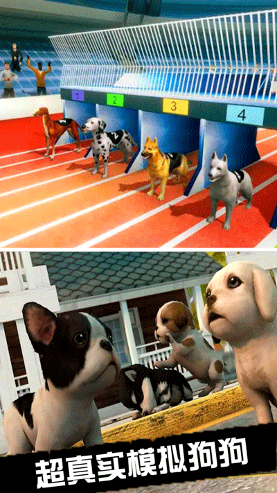 我的萌宠世界最新版