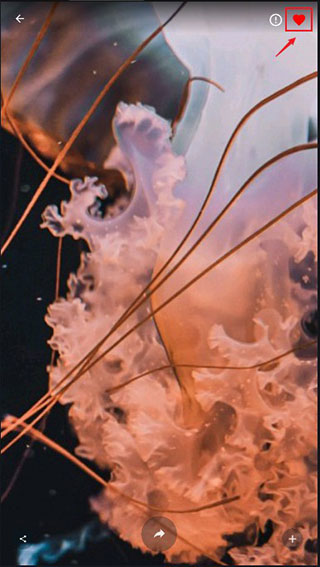 4K Wallpapers最新版