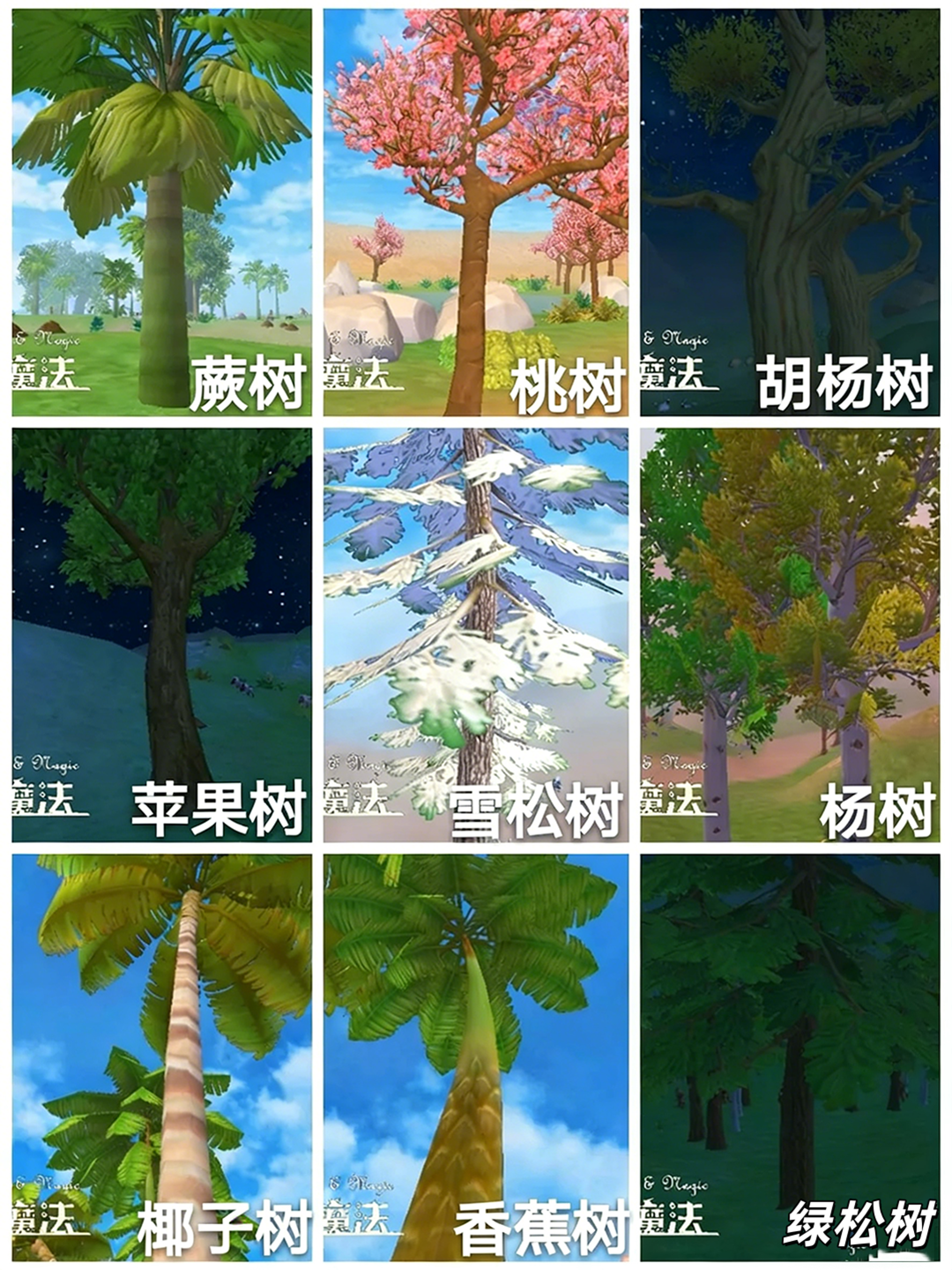 创造与魔法破解版