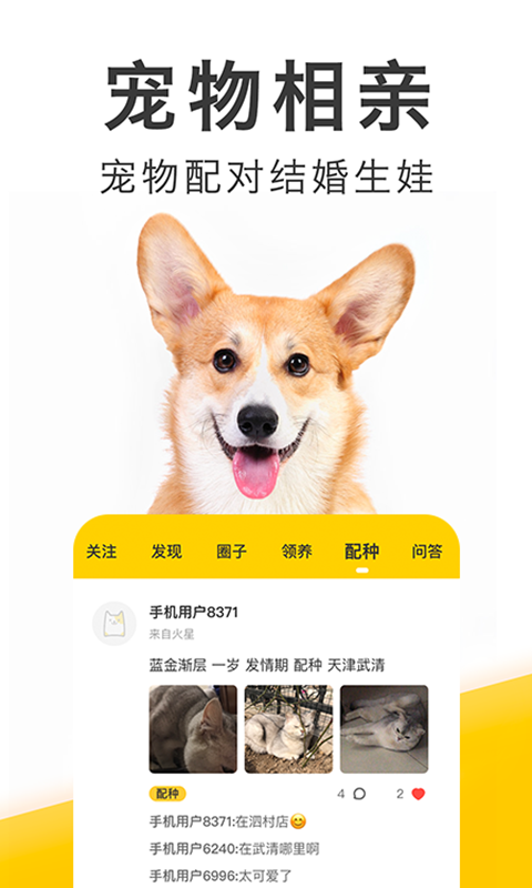 有只宠物手机版