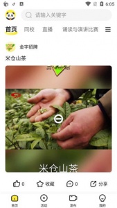熊猫视频app