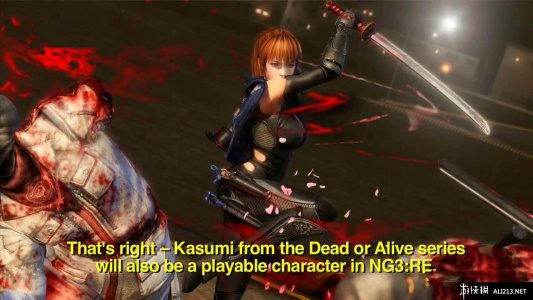 忍者龙剑传3：刀锋边缘