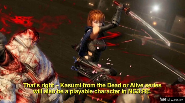 忍者龙剑传3：刀锋边缘