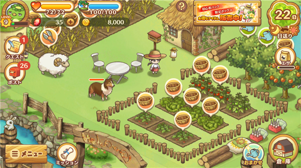 绵羊村的恬静时光