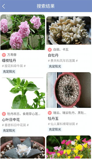 东篱花草app