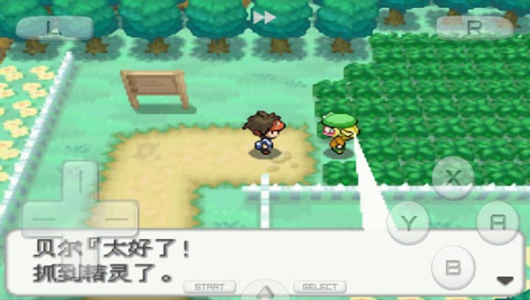 口袋妖怪白2（金手指代码）