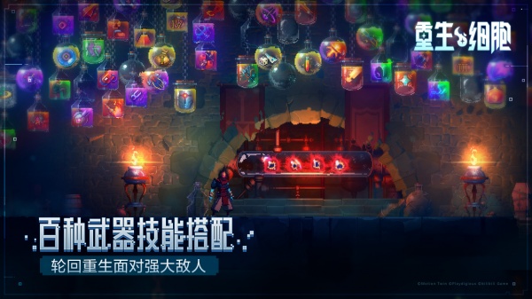 重生细胞bilibili版