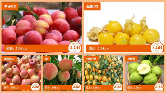 知了知屏电视版