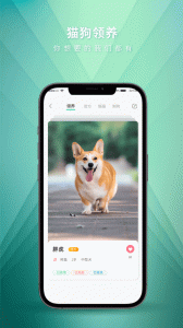 麦道宠物app
