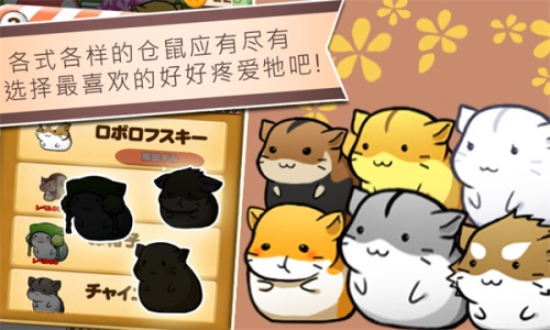 仓鼠的日常中文版(Hamster Life)