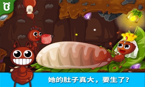 宝宝认蚂蚁游戏