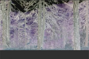 VidTrim视频剪辑手机版