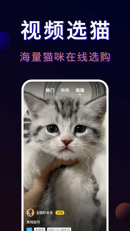 宠物宝安卓版
