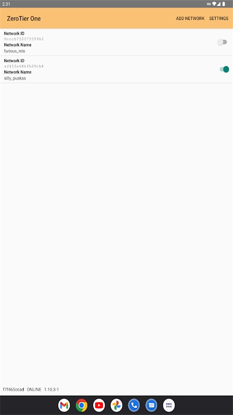 Zerotier One官方手机版