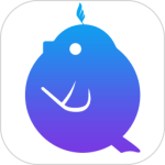 音壳音乐学院最新版