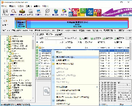 diskgenius单文件版