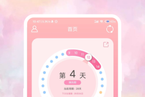 大姨妈日历app